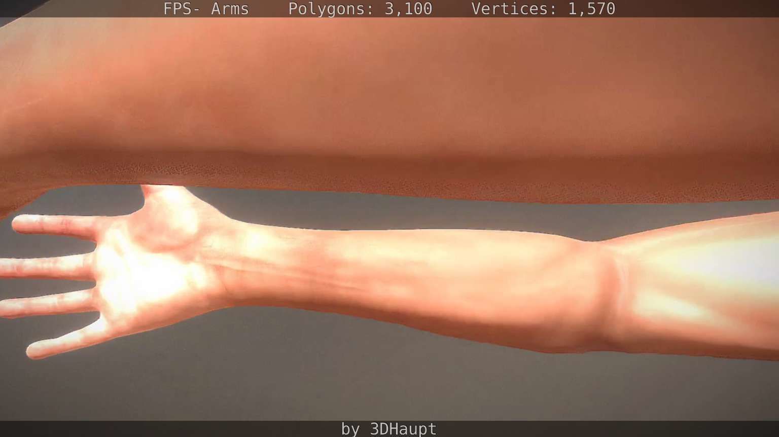 FPS-Arms Low-poly 3D model_33