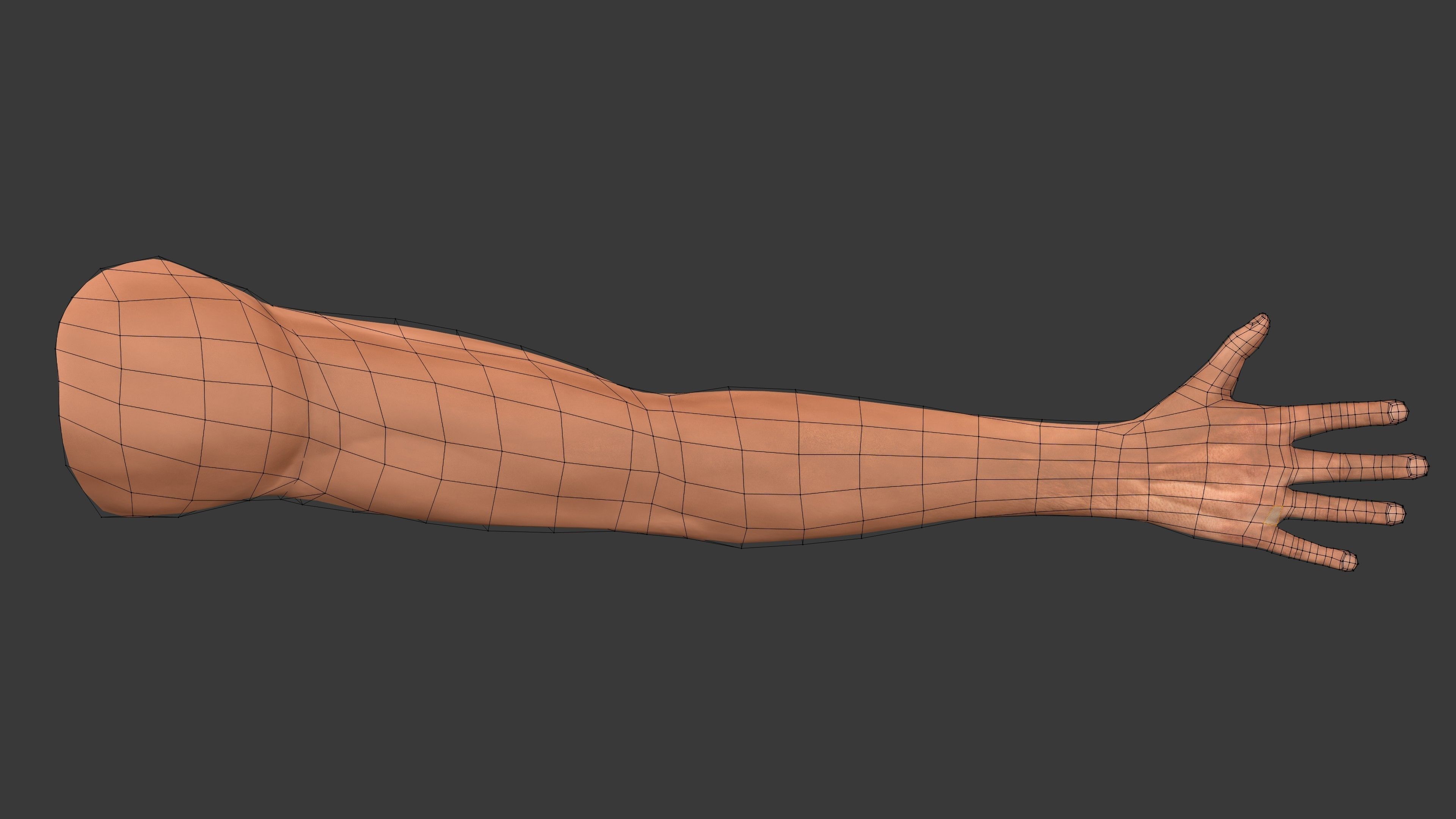 FPS-Arms Low-poly 3D model_5