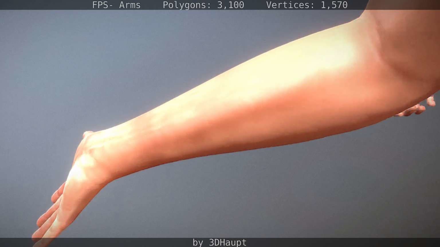 FPS-Arms Low-poly 3D model_23