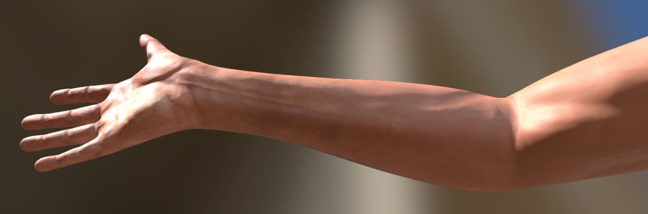 FPS-Arms Low-poly 3D model_10