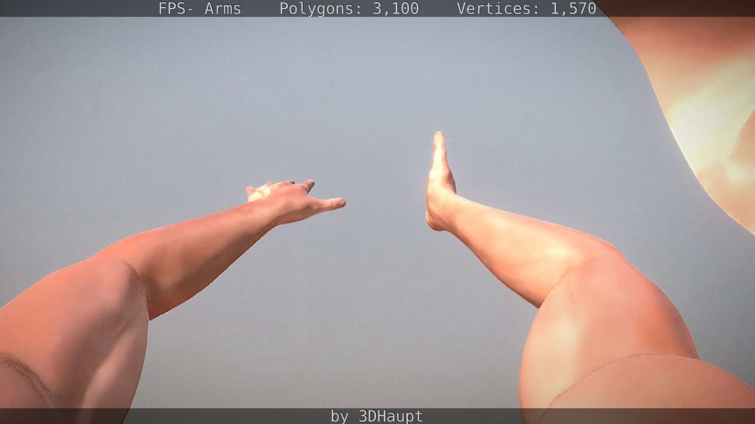 FPS-Arms Low-poly 3D model_46