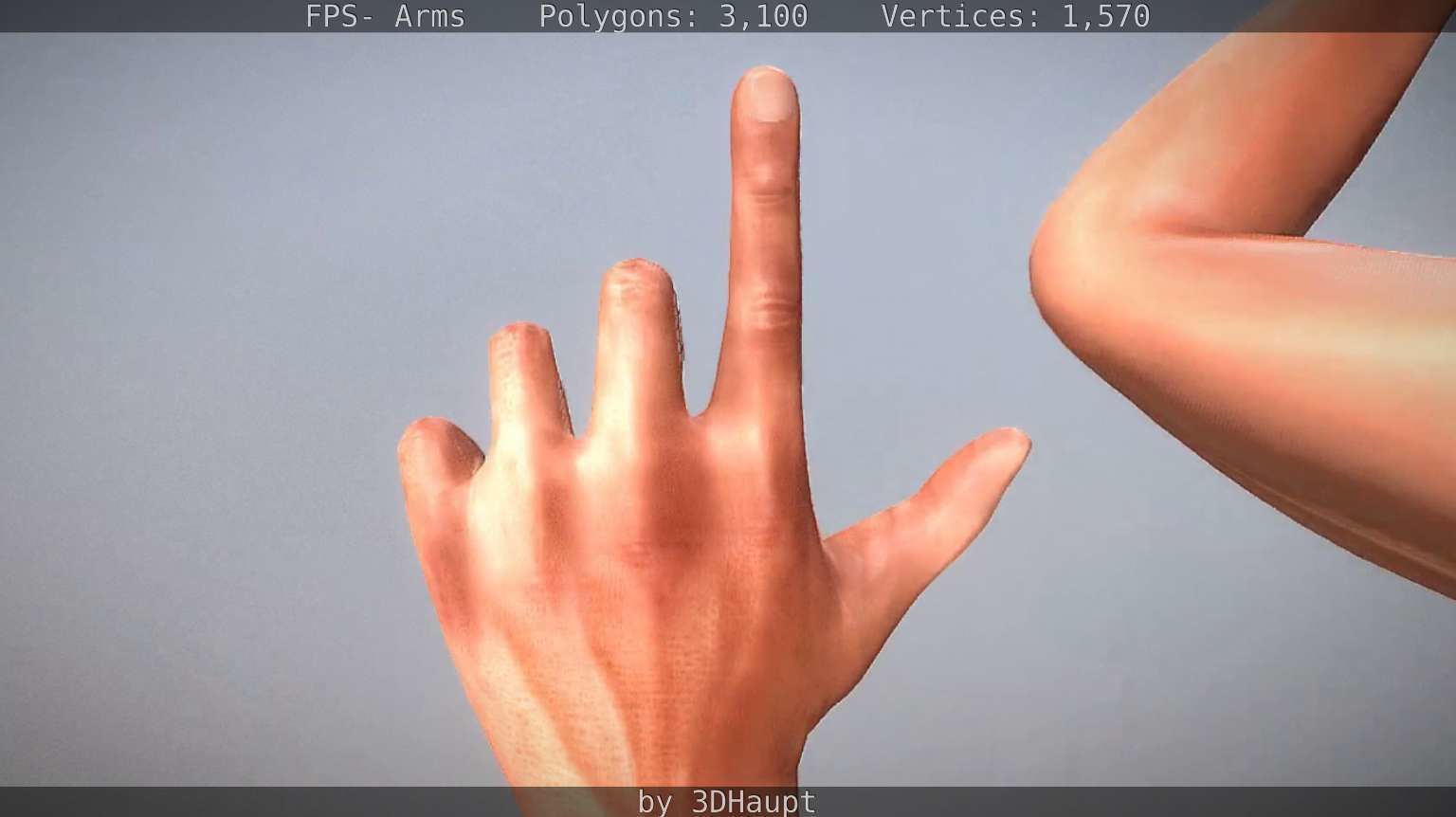 FPS-Arms Low-poly 3D model_89