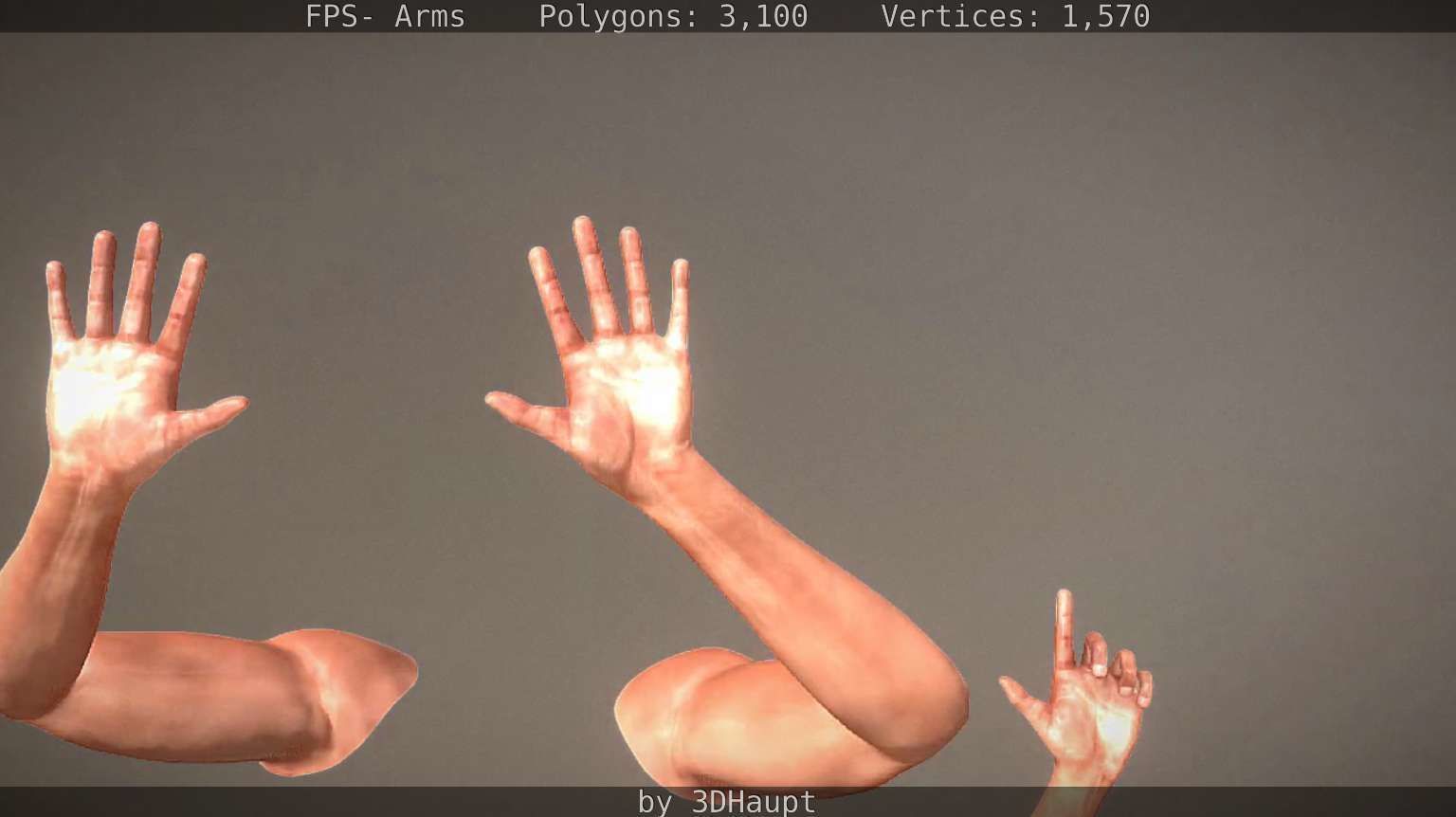 FPS-Arms Low-poly 3D model_24