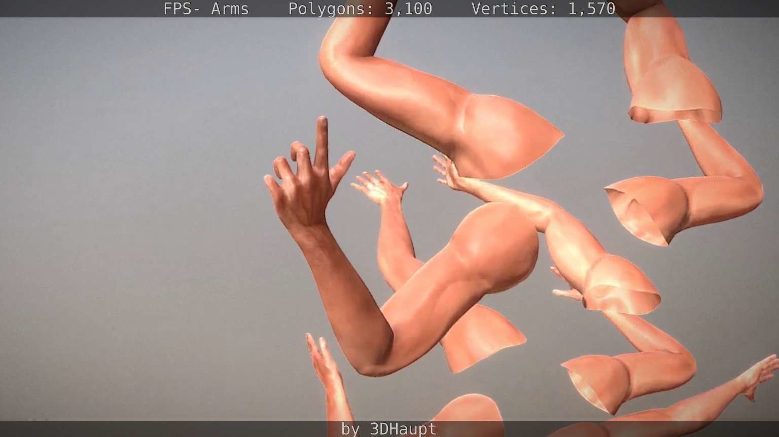 FPS-Arms Low-poly 3D model_81