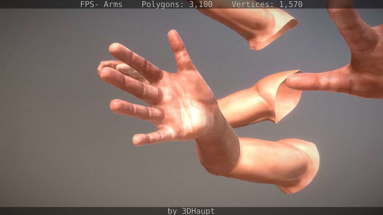 FPS-Arms Low-poly 3D model_21