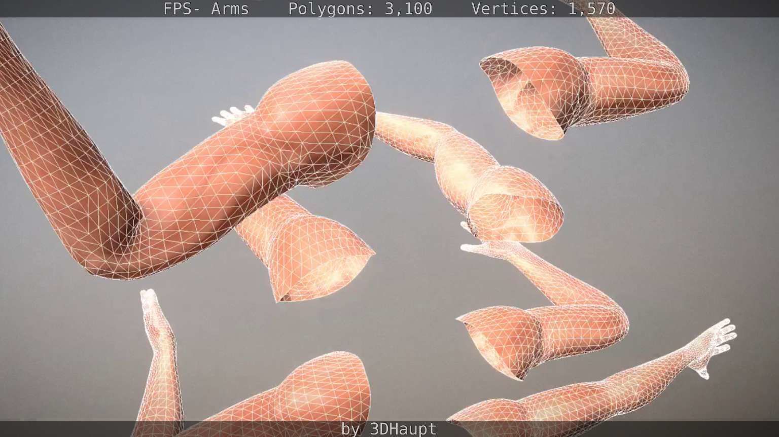 FPS-Arms Low-poly 3D model_48