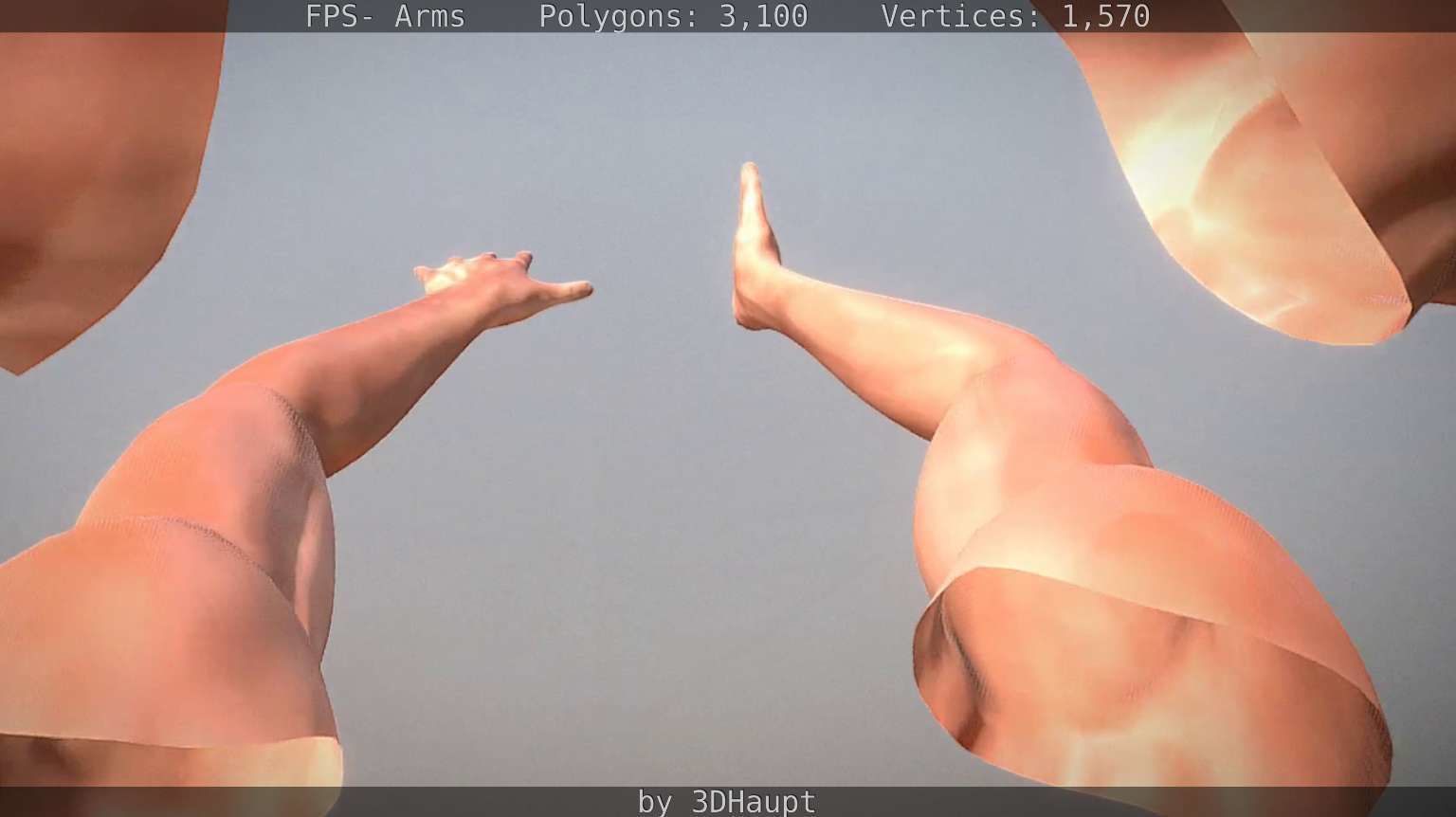 FPS-Arms Low-poly 3D model_44