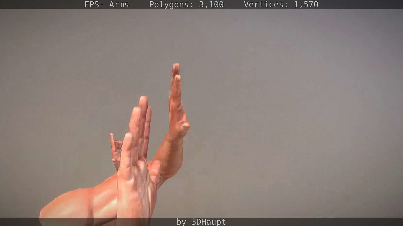 FPS-Arms Low-poly 3D model_32