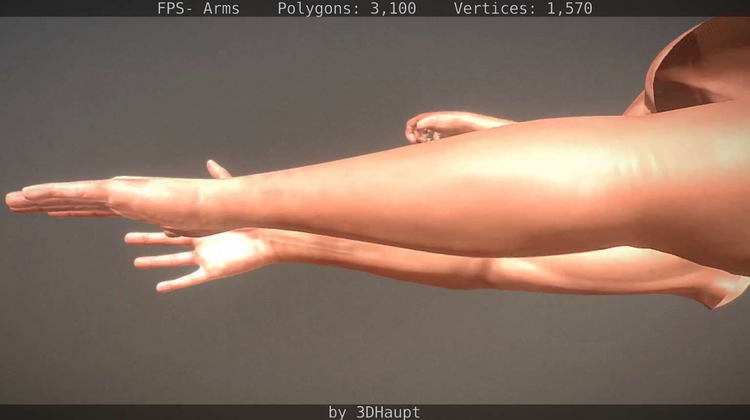 FPS-Arms Low-poly 3D model_26