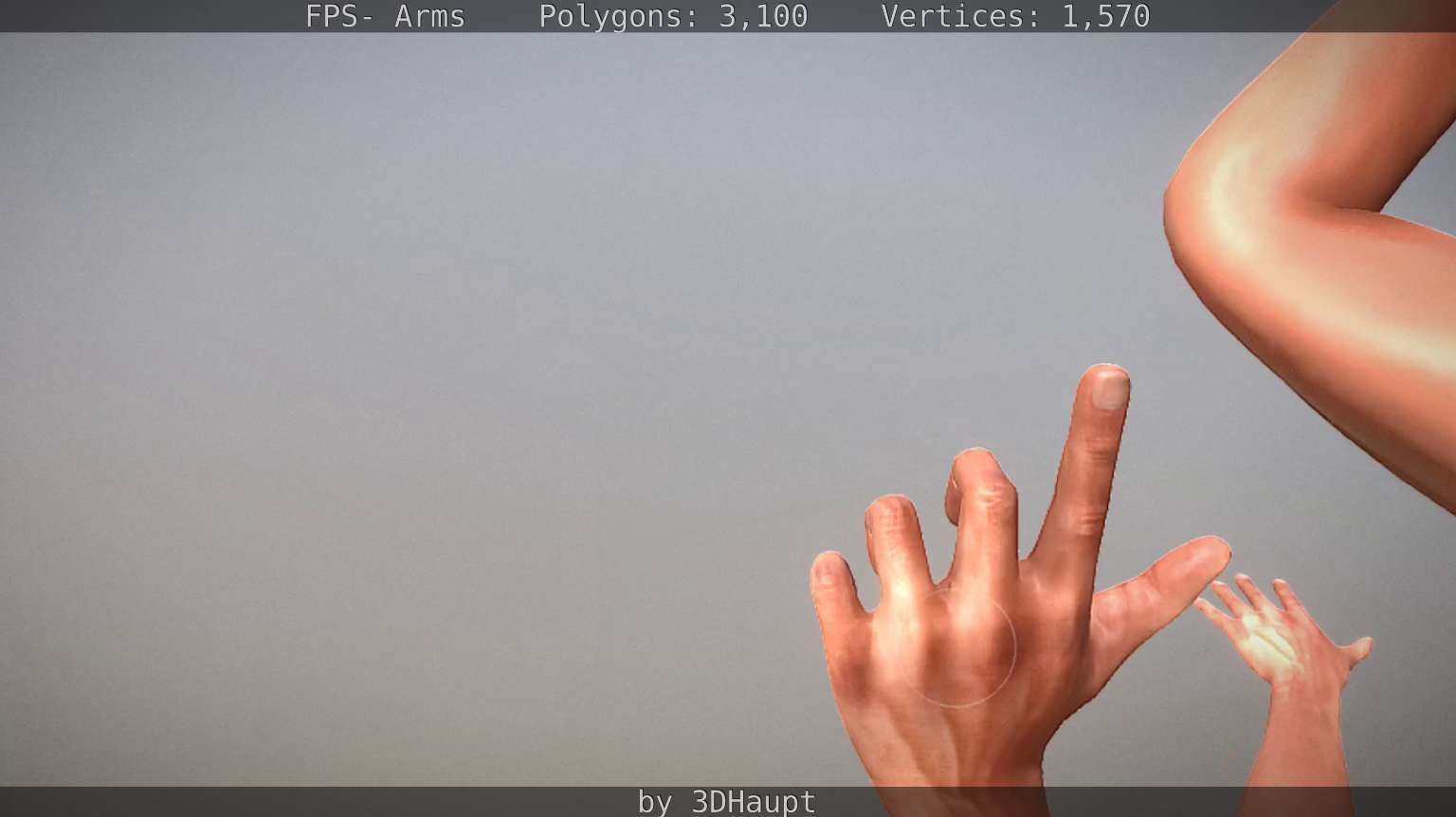 FPS-Arms Low-poly 3D model_86