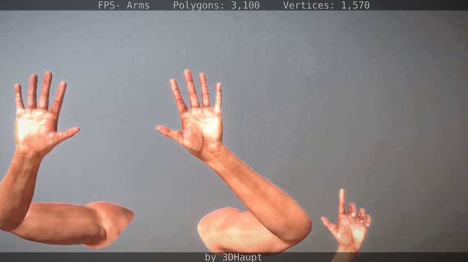 FPS-Arms Low-poly 3D model_30