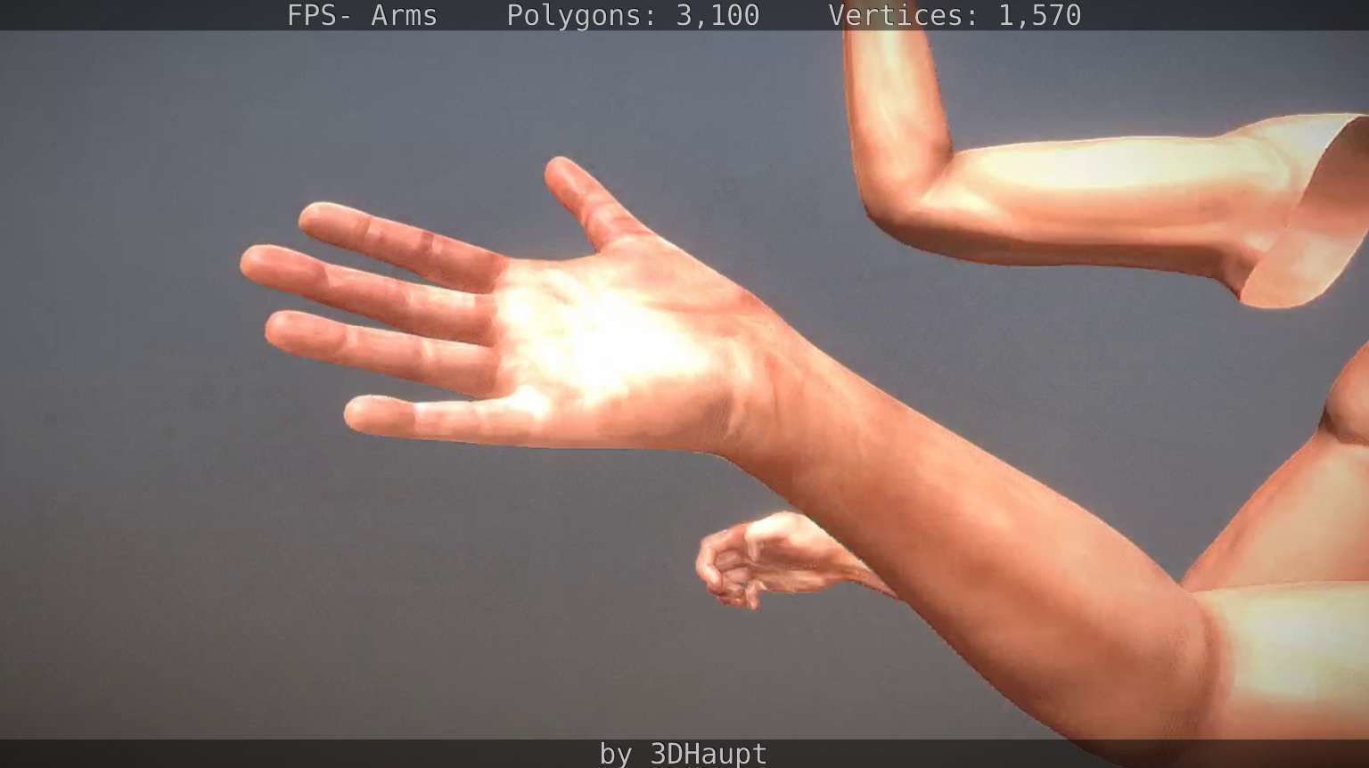 FPS-Arms Low-poly 3D model_22