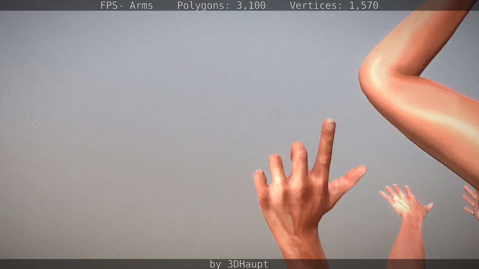 FPS-Arms Low-poly 3D model_62