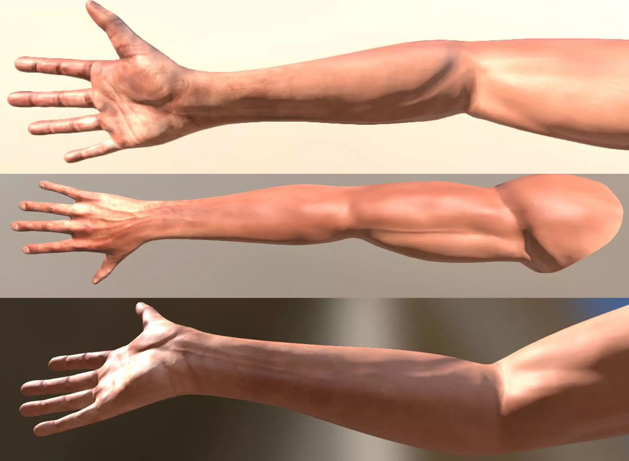 FPS-Arms Low-poly 3D model_0