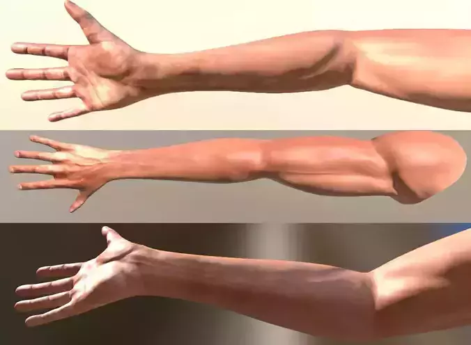 FPS-Arms Low-poly 3D model