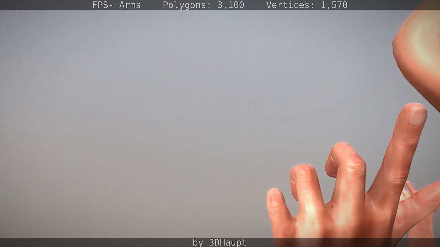 FPS-Arms Low-poly 3D model_84