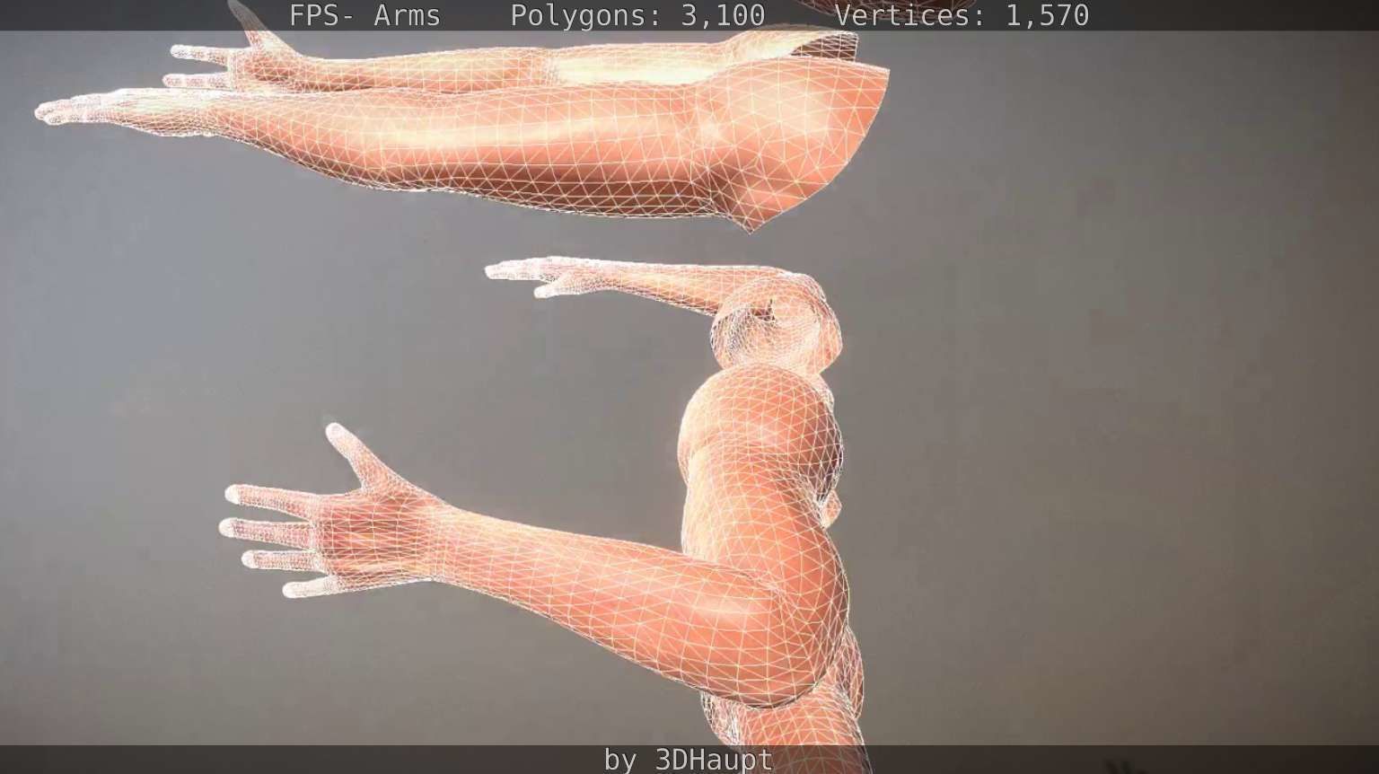 FPS-Arms Low-poly 3D model_43