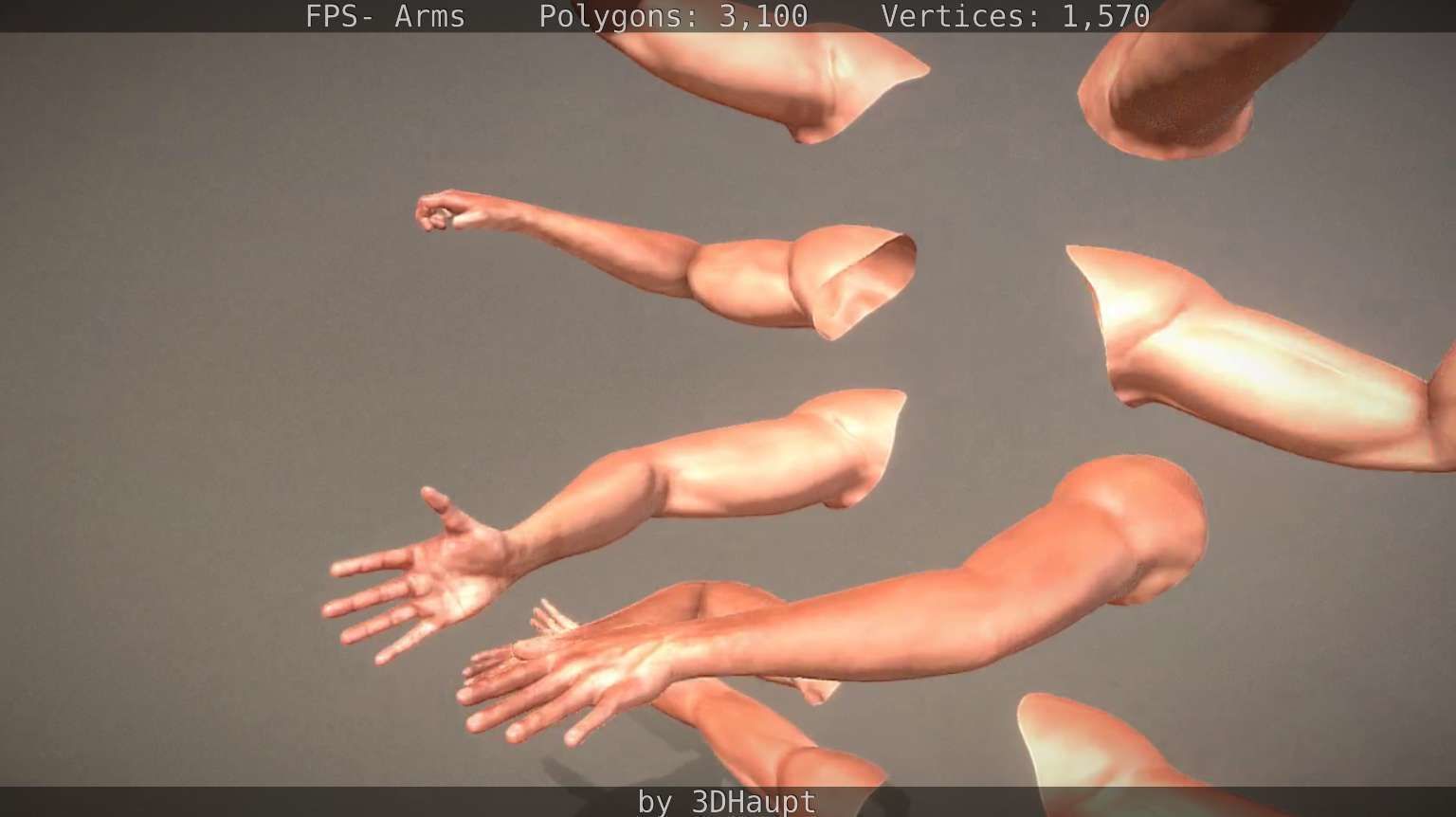 FPS-Arms Low-poly 3D model_25