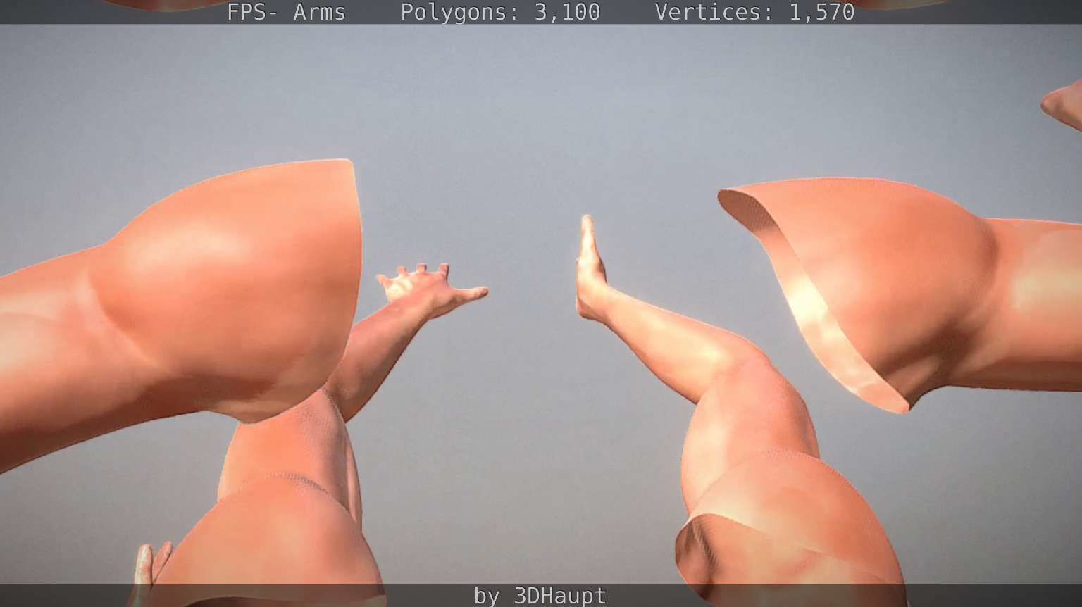 FPS-Arms Low-poly 3D model_42