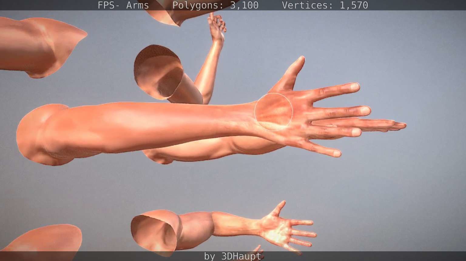 FPS-Arms Low-poly 3D model_19