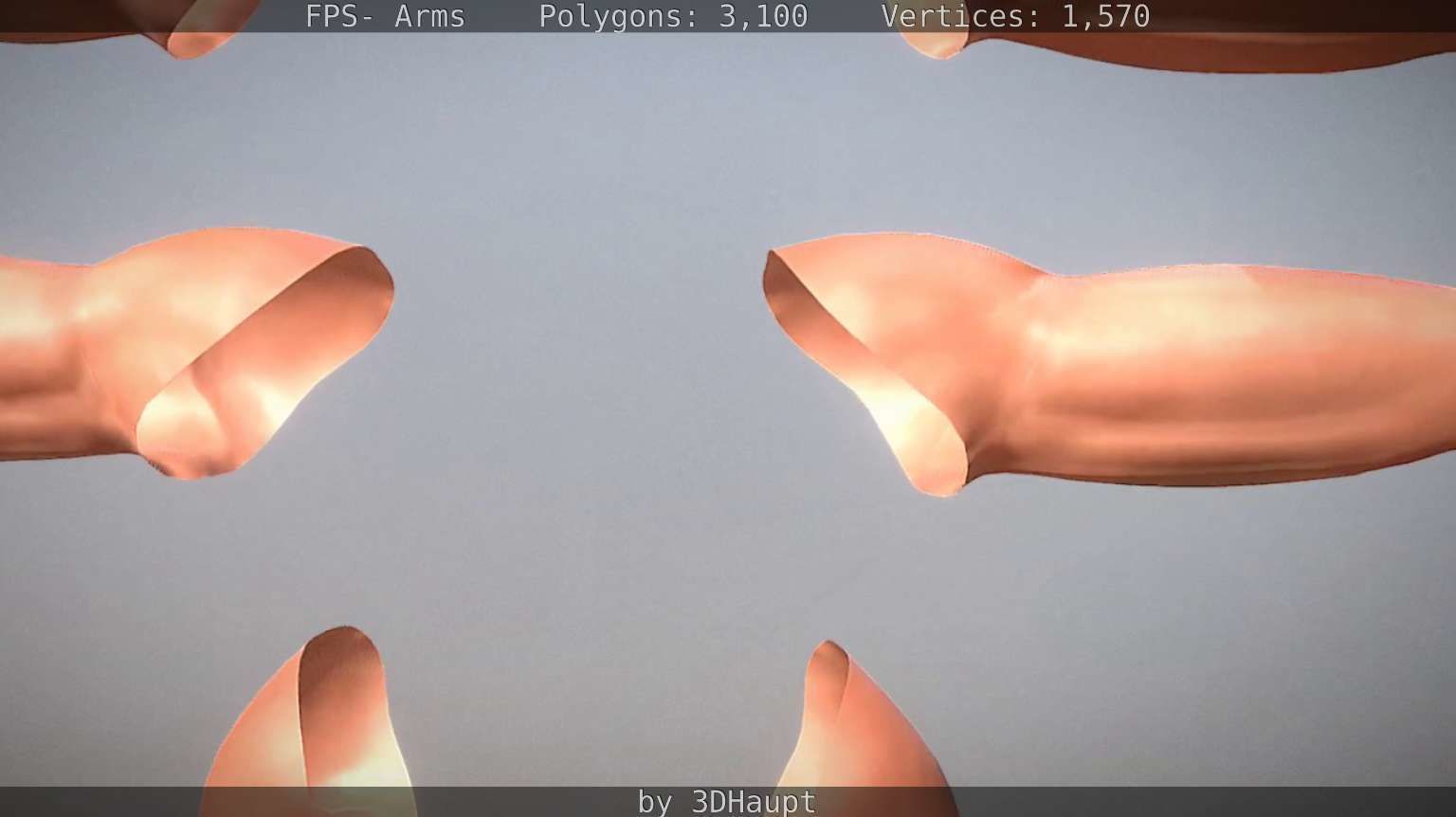 FPS-Arms Low-poly 3D model_53