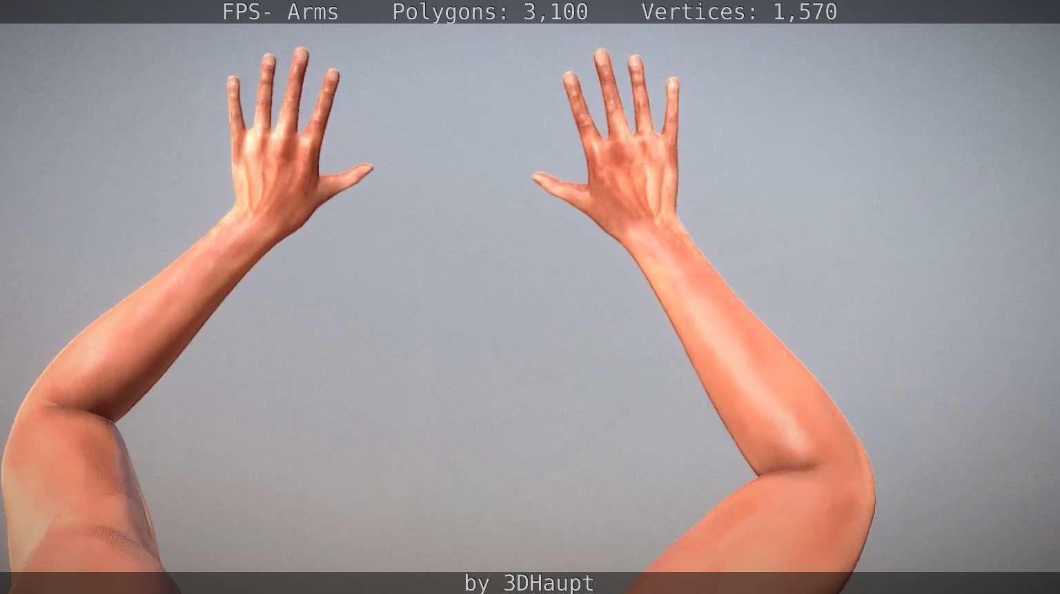 FPS-Arms Low-poly 3D model_35