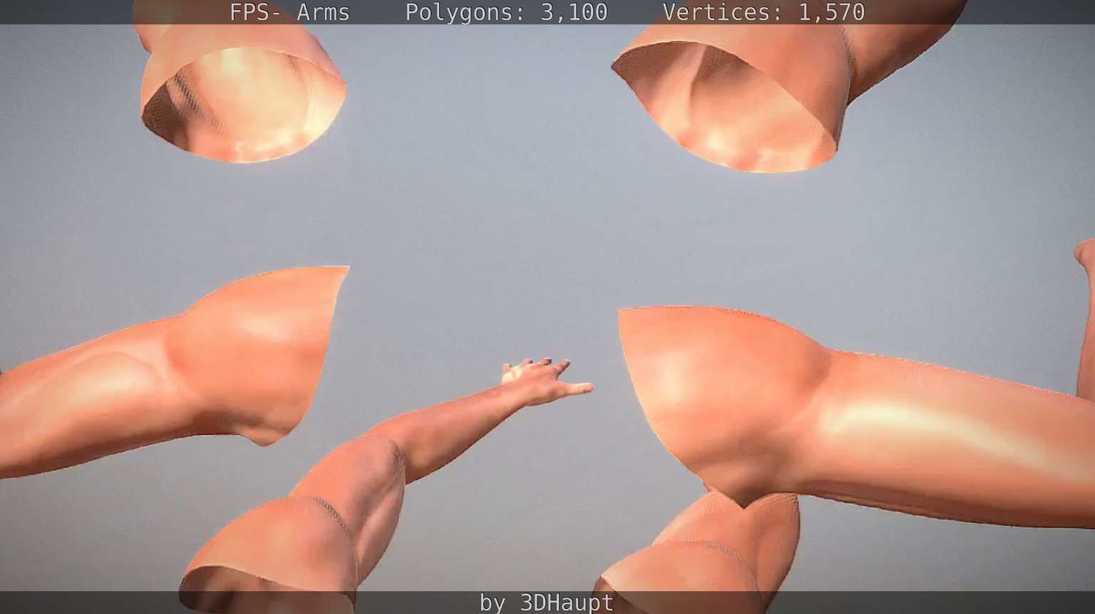 FPS-Arms Low-poly 3D model_40