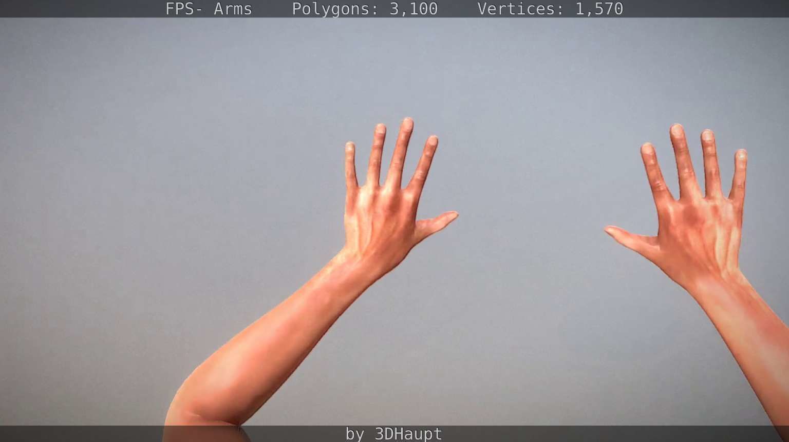 FPS-Arms Low-poly 3D model_34