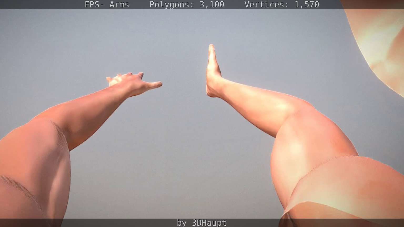 FPS-Arms Low-poly 3D model_45