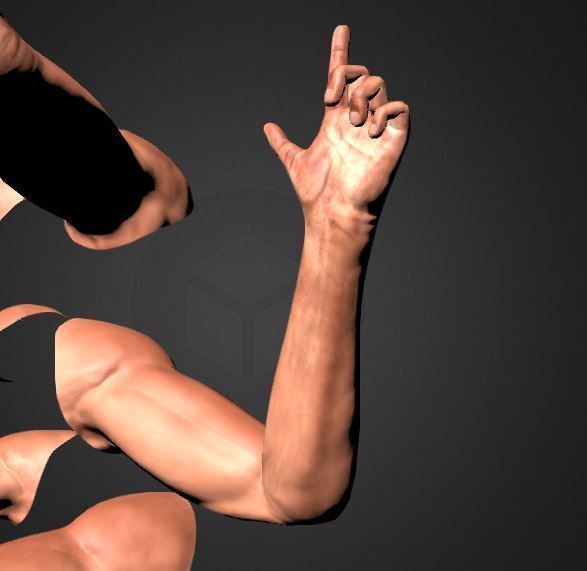 FPS-Arms Low-poly 3D model_3