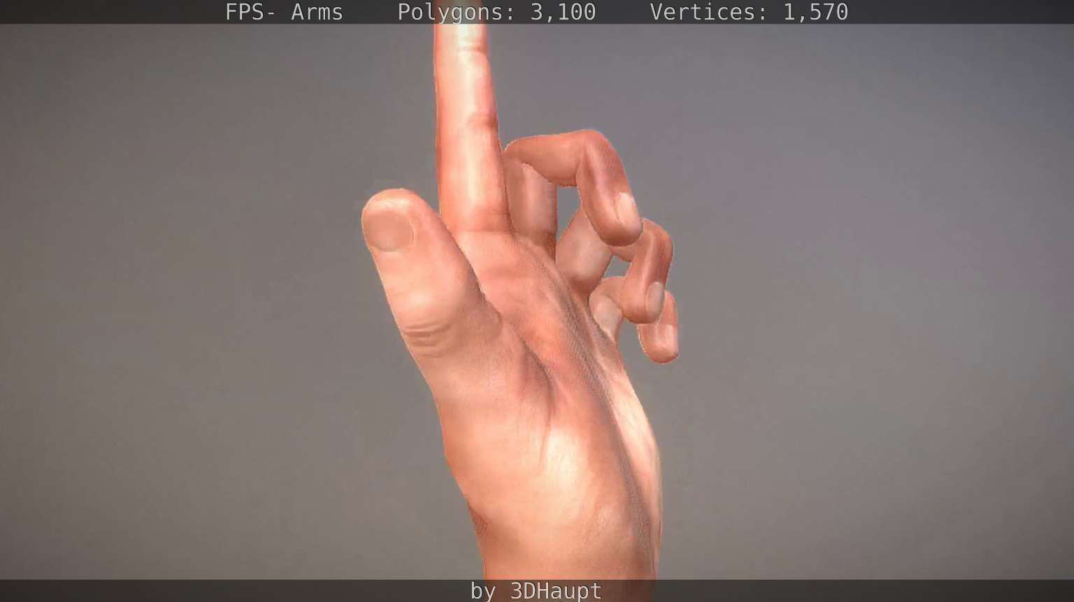 FPS-Arms Low-poly 3D model_63