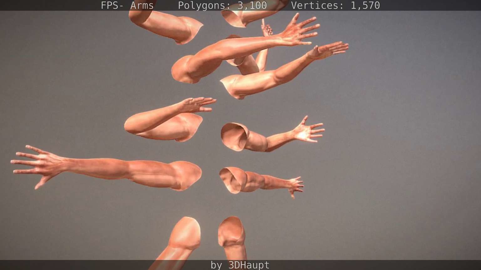 FPS-Arms Low-poly 3D model_39