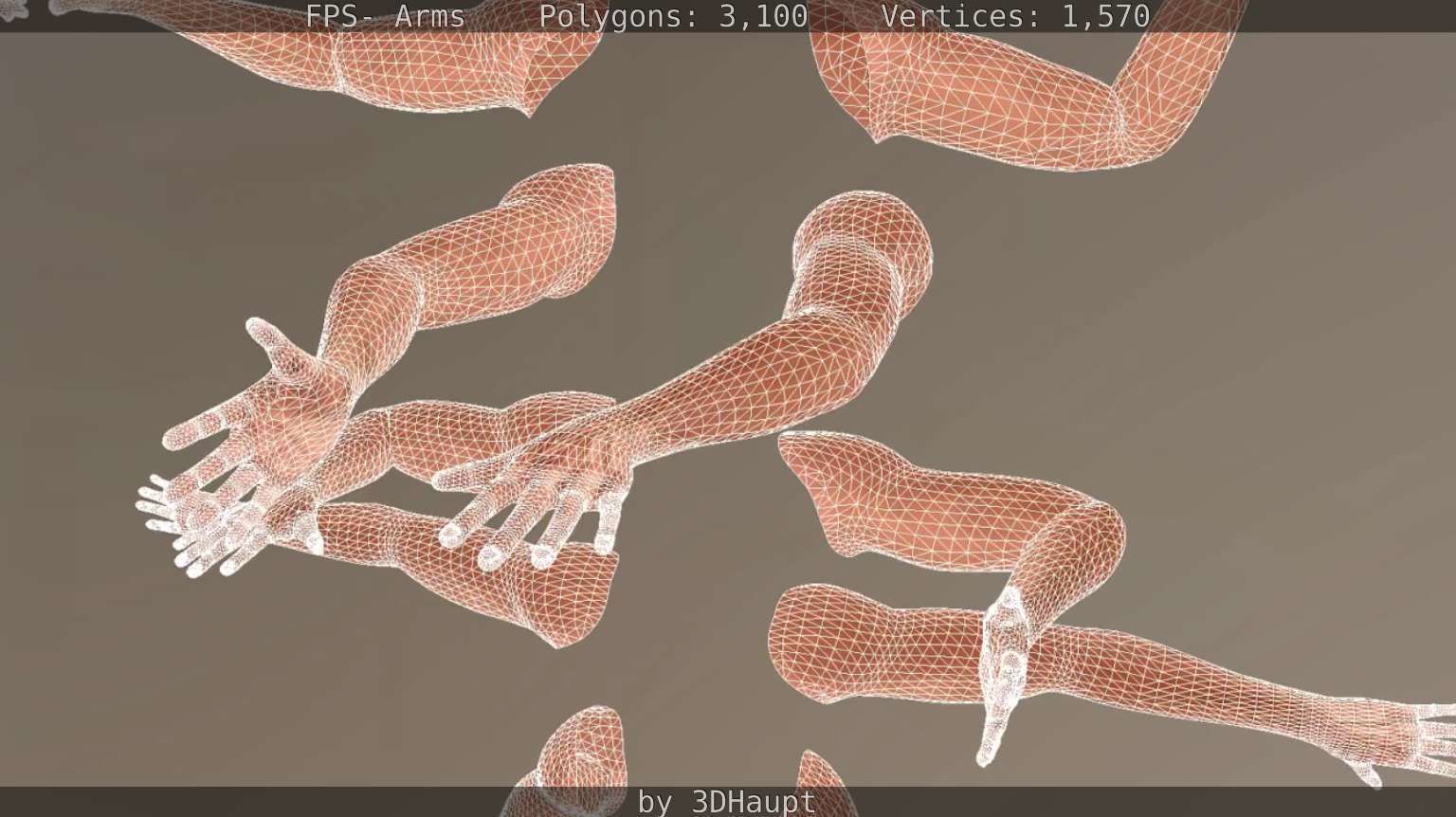 FPS-Arms Low-poly 3D model_51