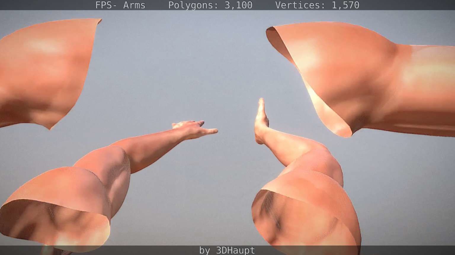 FPS-Arms Low-poly 3D model_47