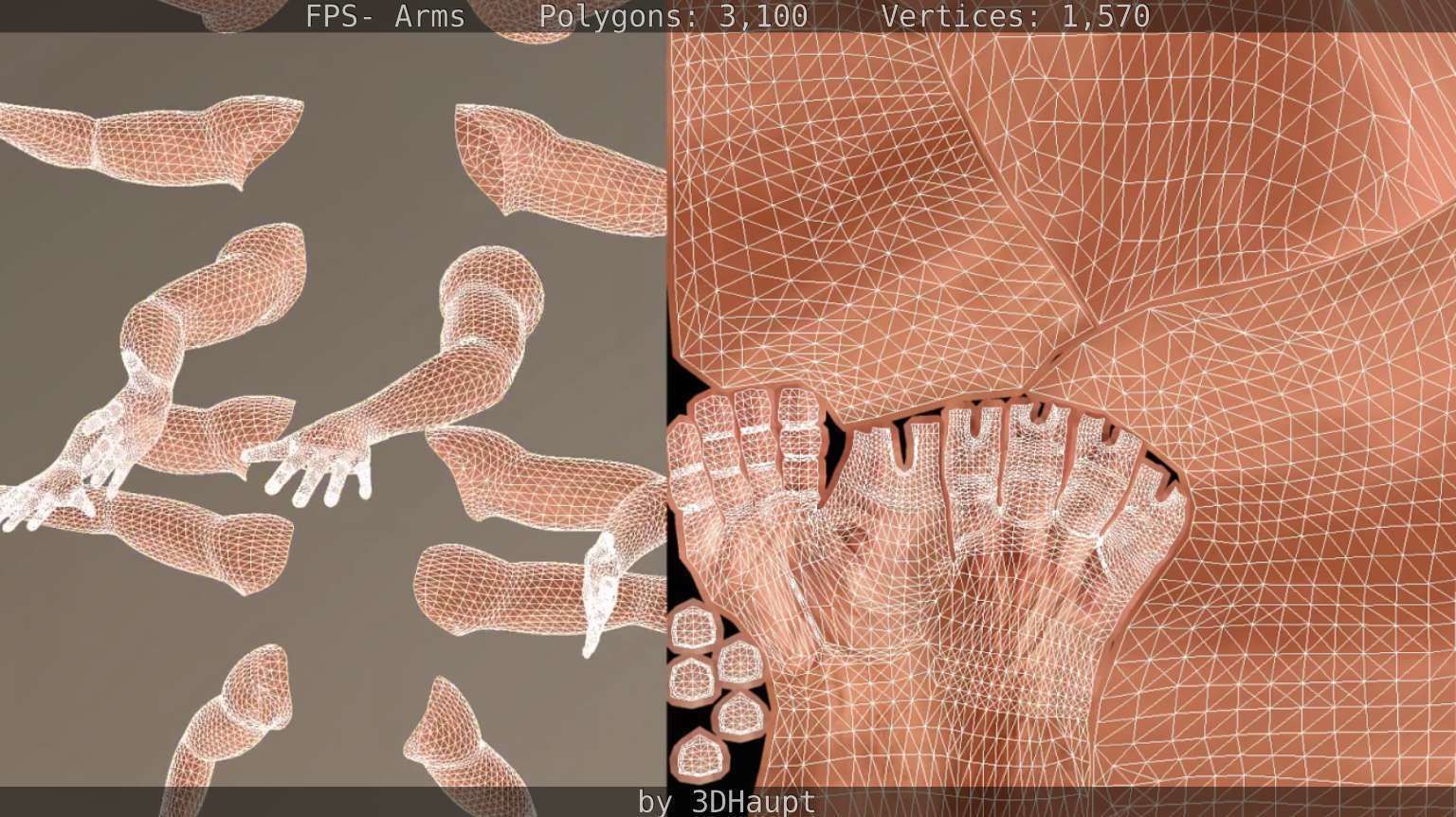 FPS-Arms Low-poly 3D model_66