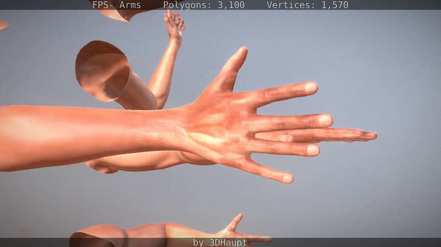 FPS-Arms Low-poly 3D model_20