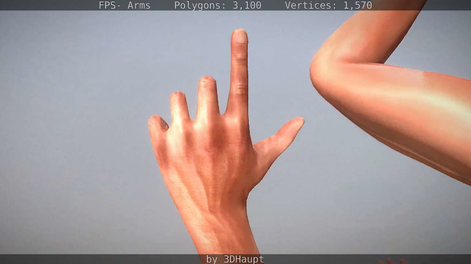 FPS-Arms Low-poly 3D model_71