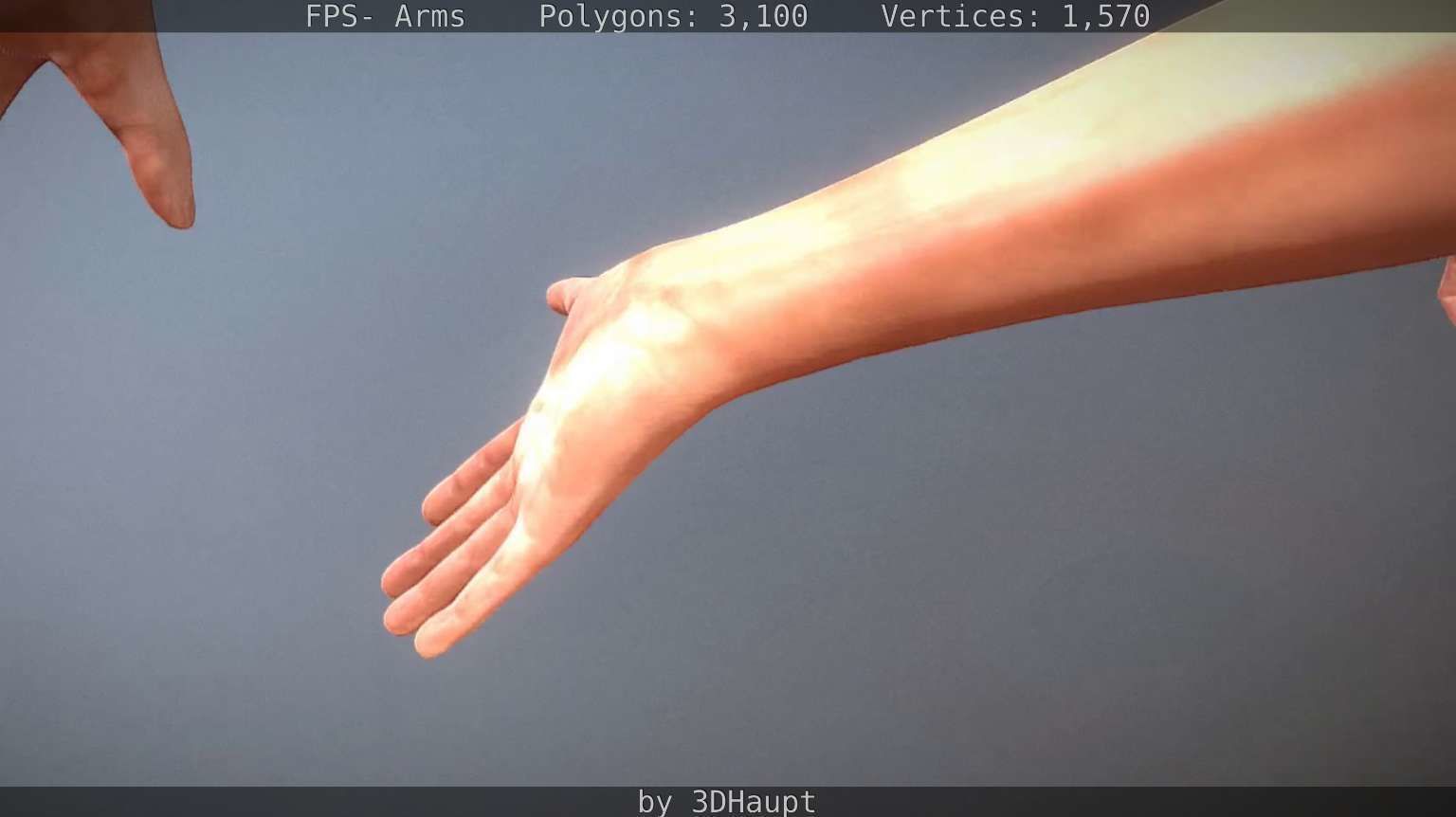 FPS-Arms Low-poly 3D model_28