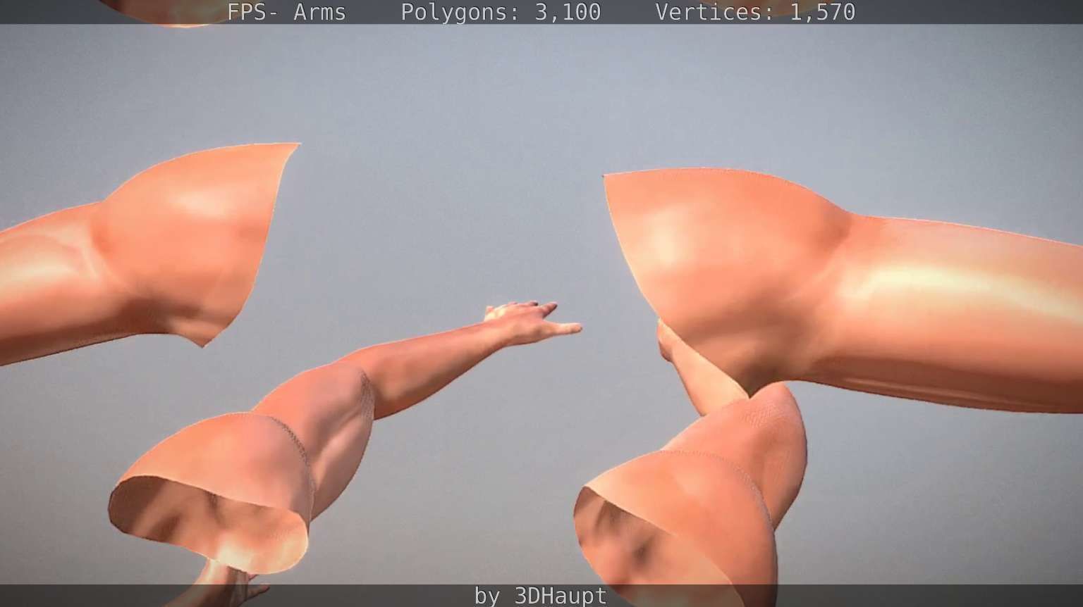 FPS-Arms Low-poly 3D model_41