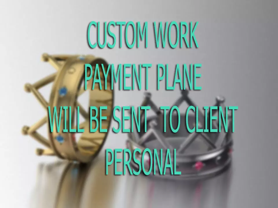 CUSTOM PAYMENT PLANE WILL BE SENT PERSONAL 3D print model_0
