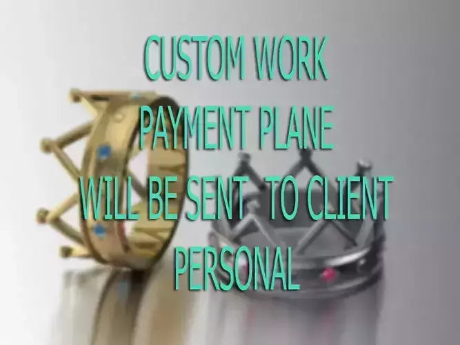 CUSTOM PAYMENT PLANE WILL BE SENT PERSONAL 3D print model