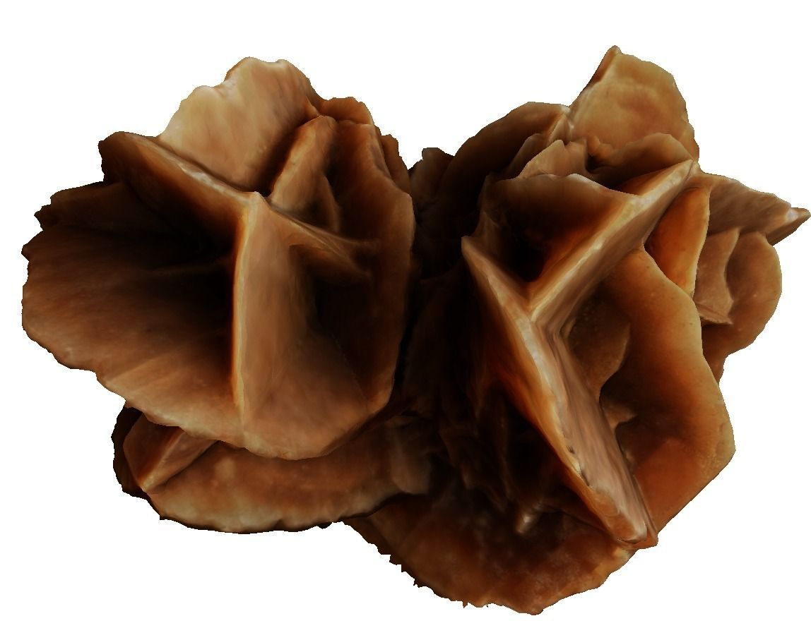 Desert stone rose  3D model_0