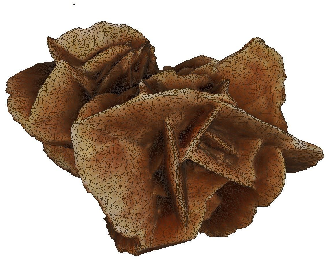 Desert stone rose  3D model_4