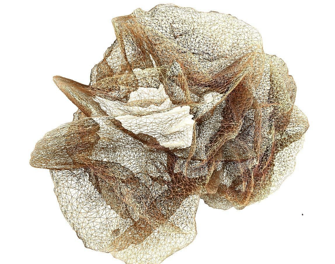 Desert stone rose  3D model_8