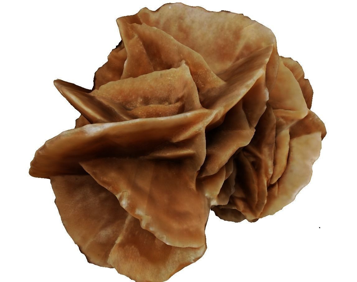 Desert stone rose  3D model_6