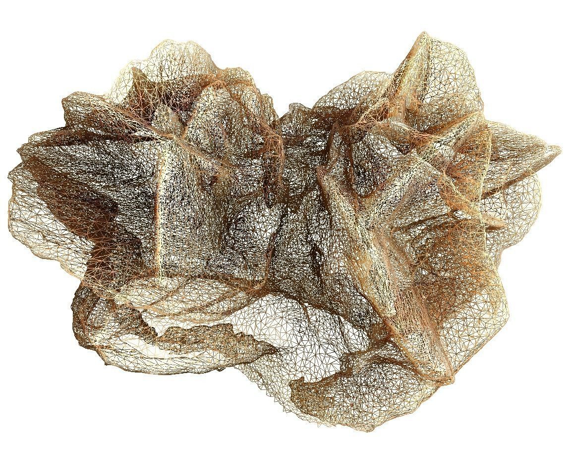 Desert stone rose  3D model_2