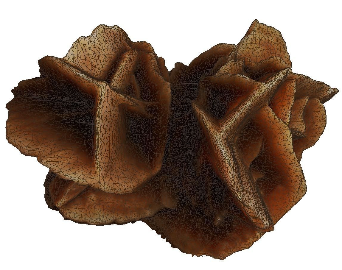 Desert stone rose  3D model_1