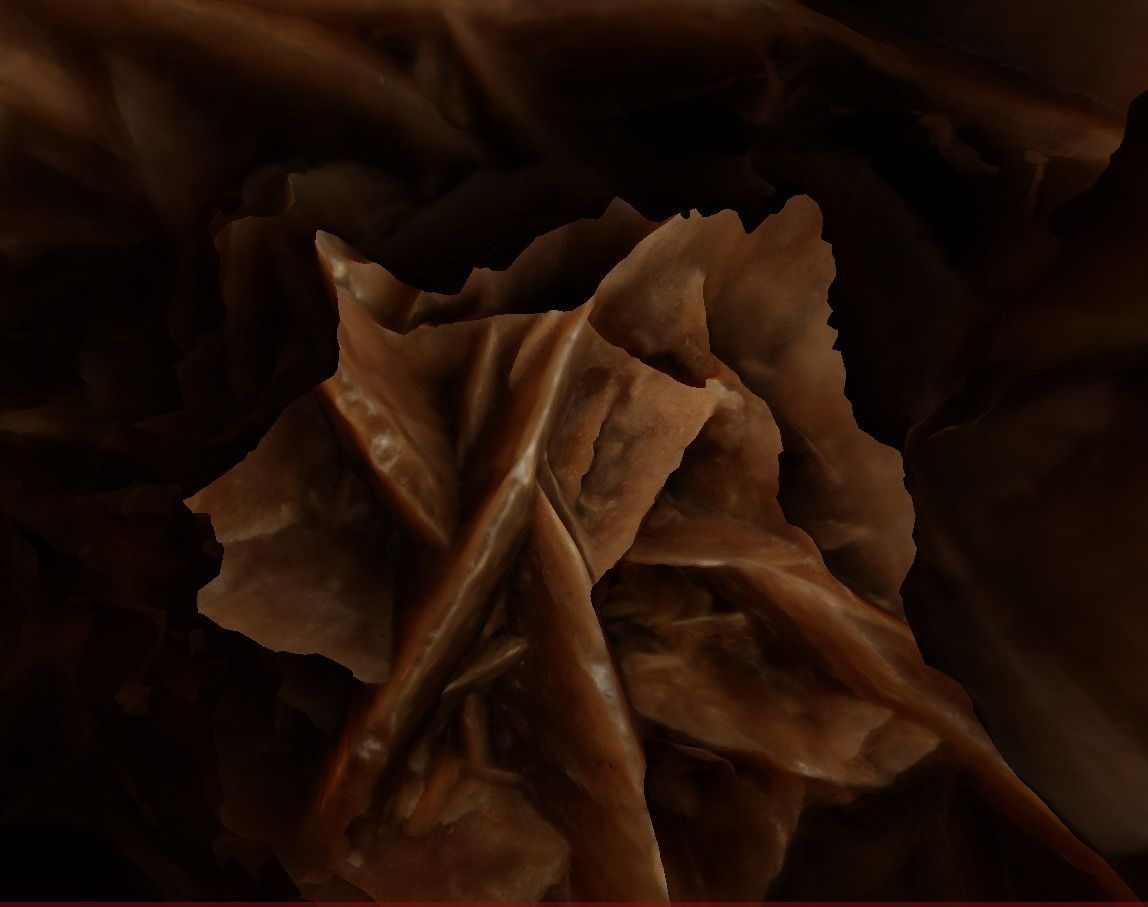 Desert stone rose  3D model_9