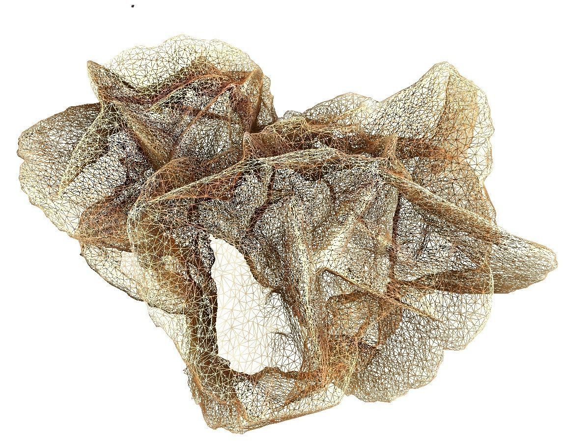 Desert stone rose  3D model_15