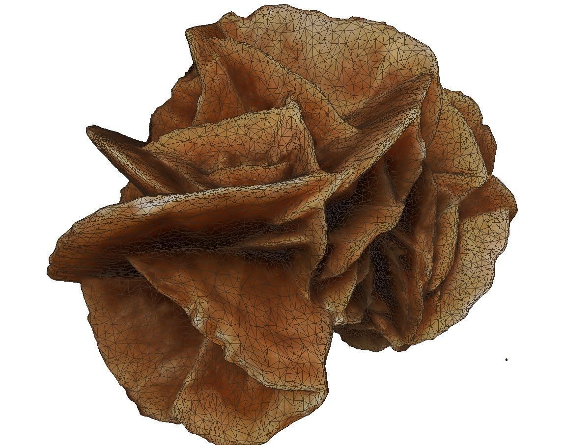 Desert stone rose  3D model_7
